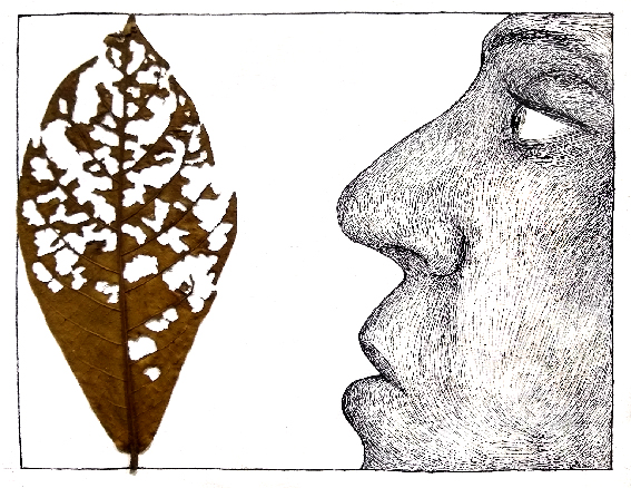 Leaf profile